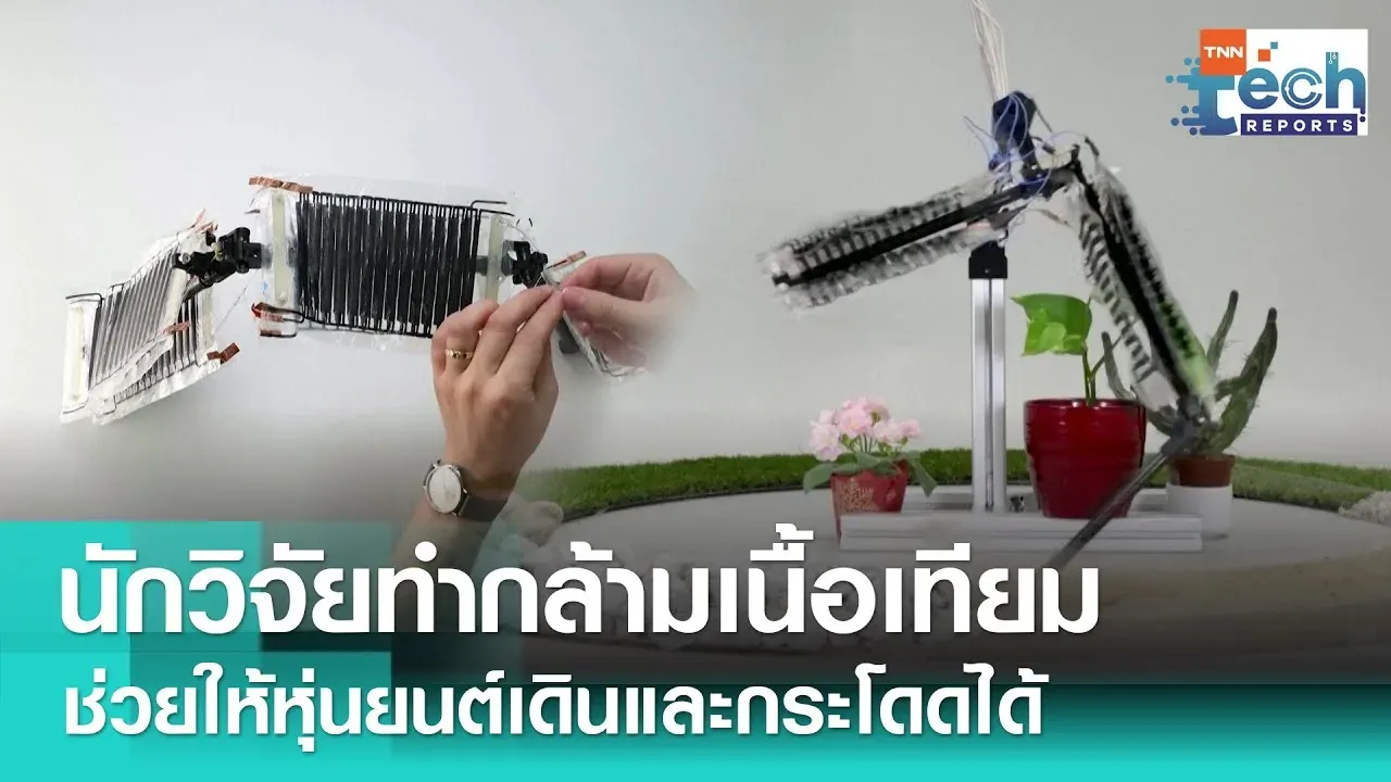 📺  TNN ช่อง16