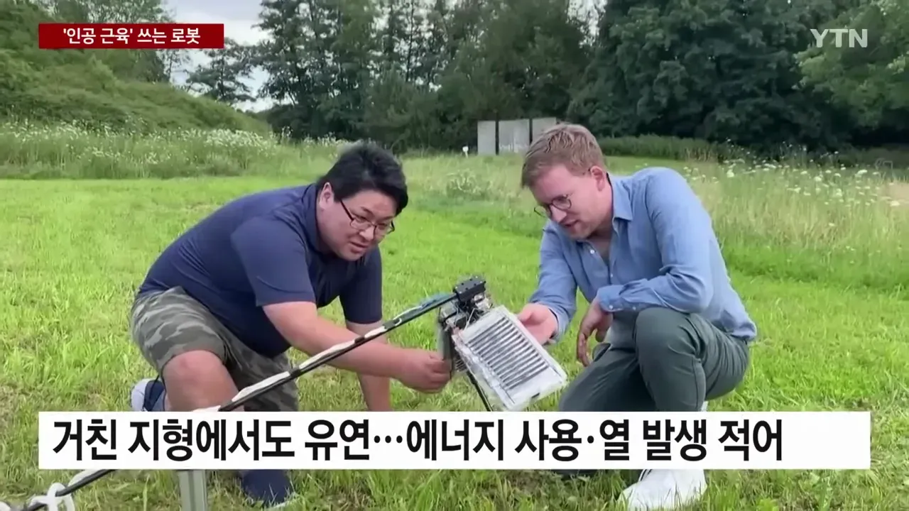 📺 YTN