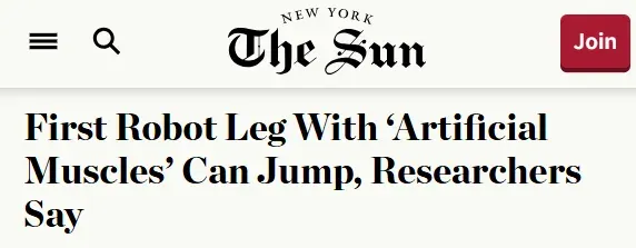 📰 NEW YORK The Sun