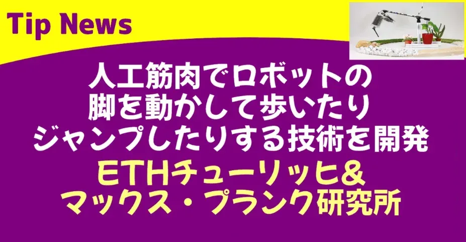 📰 Tip news