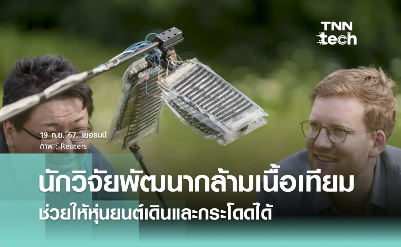 📰 TNN Thailand