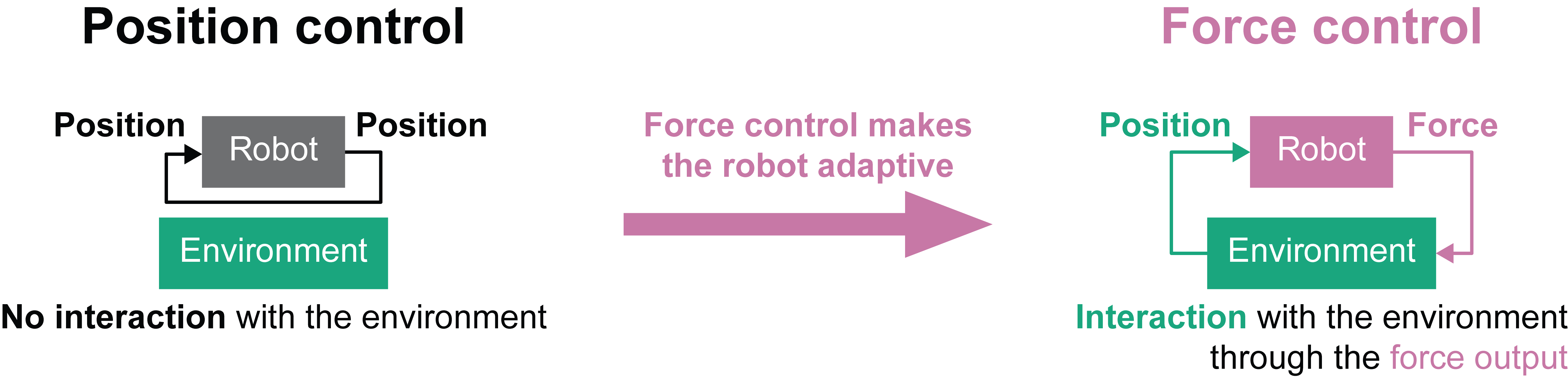 Interactive Motion Generation with the Environment