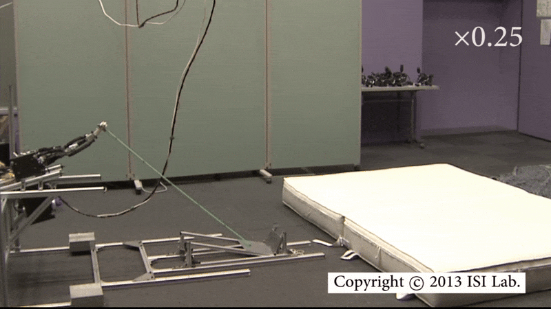 PAULTER vaults with using its inertial force