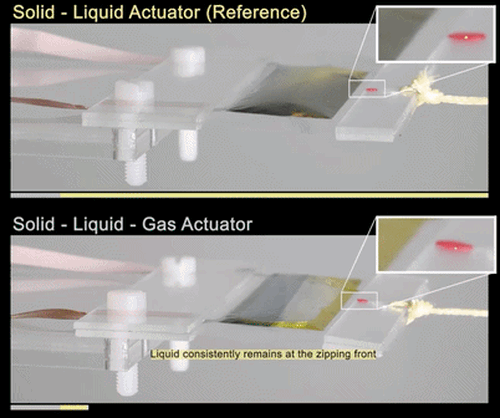 Ultralight soft electrostatic actuators based on solid-liquid-gas architectures